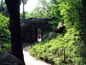 Central park NYC 07.JPG